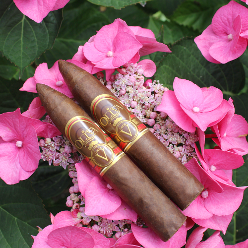 Oliva Serie V - Belicoso Cigar - 1 Single